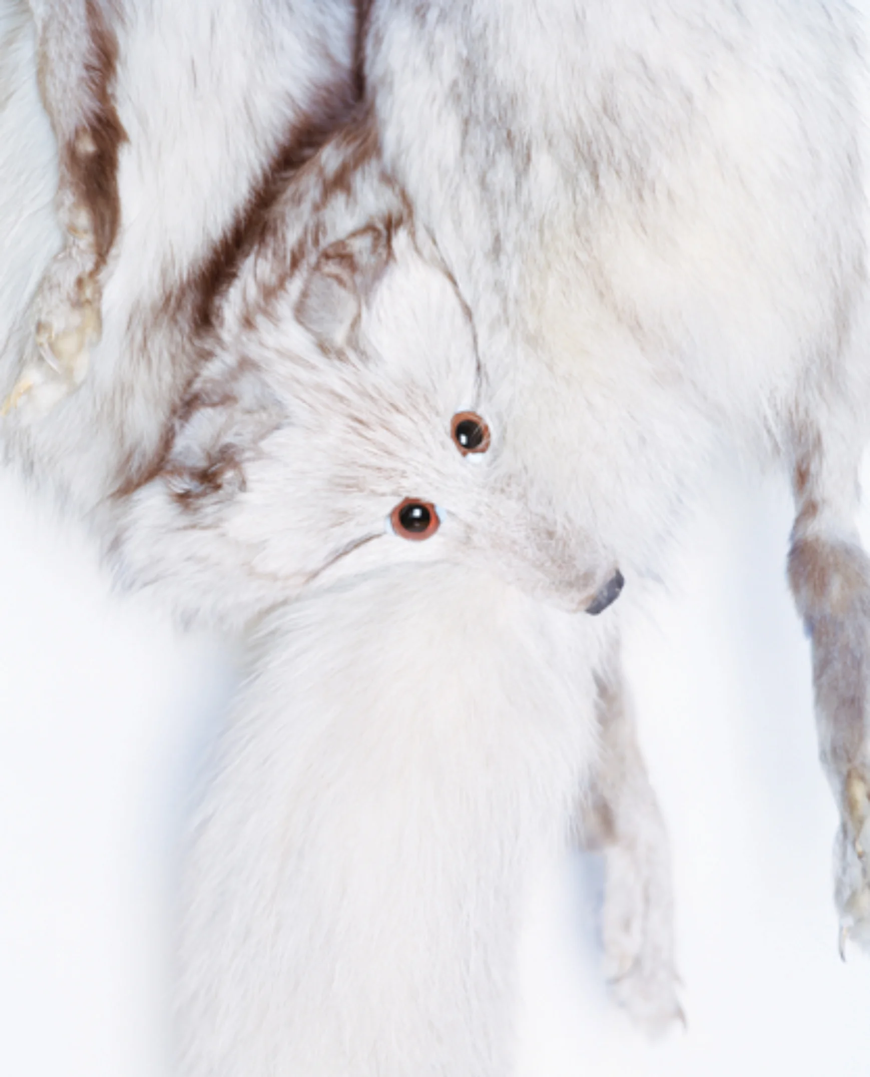 Fur