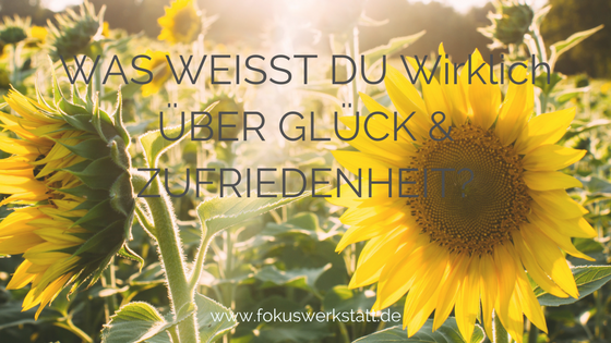 Was weißt du wirklich über Glück &amp; Zufriedenheit?