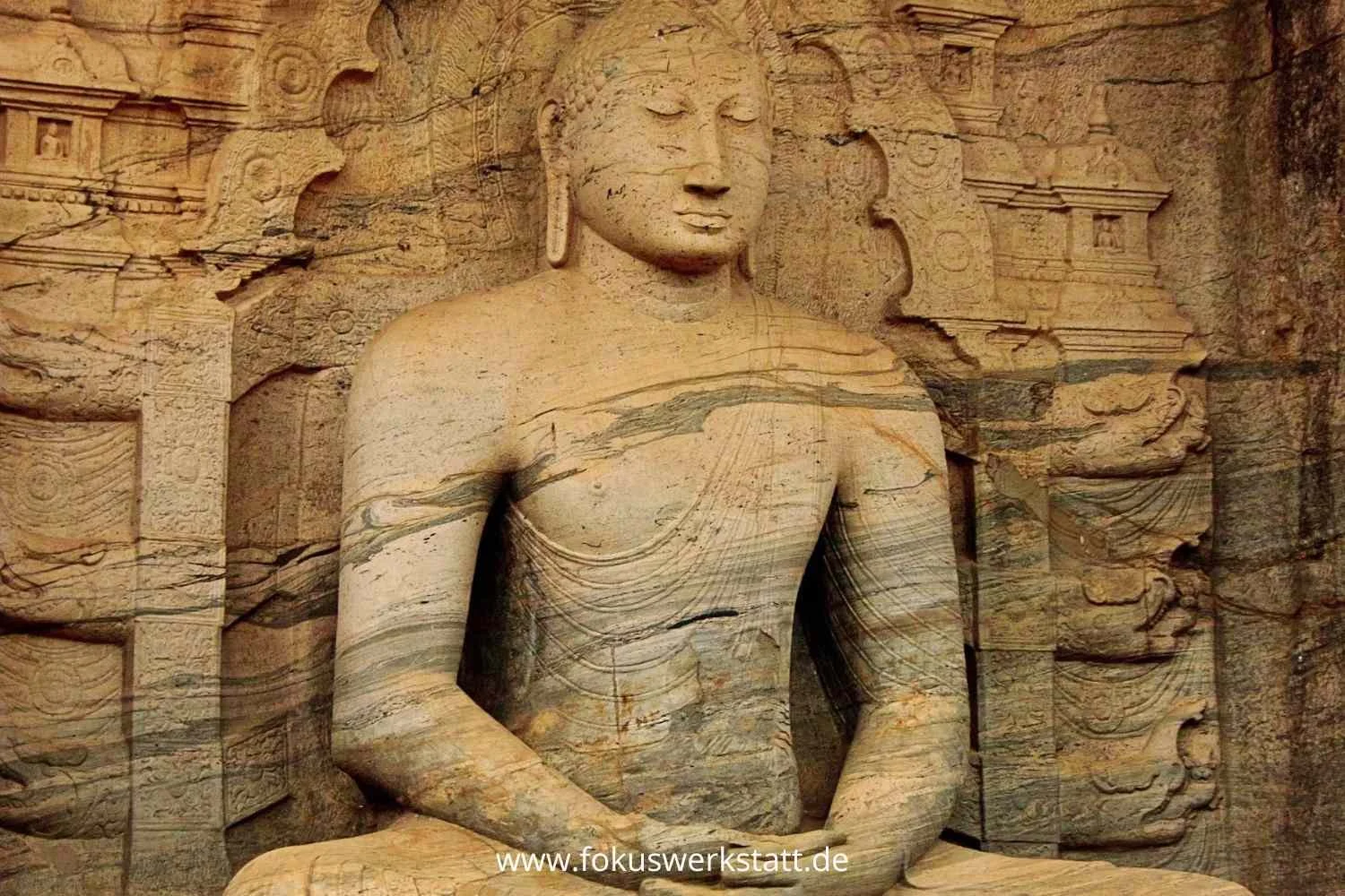 Instagram _Linkbaum Website.jpg