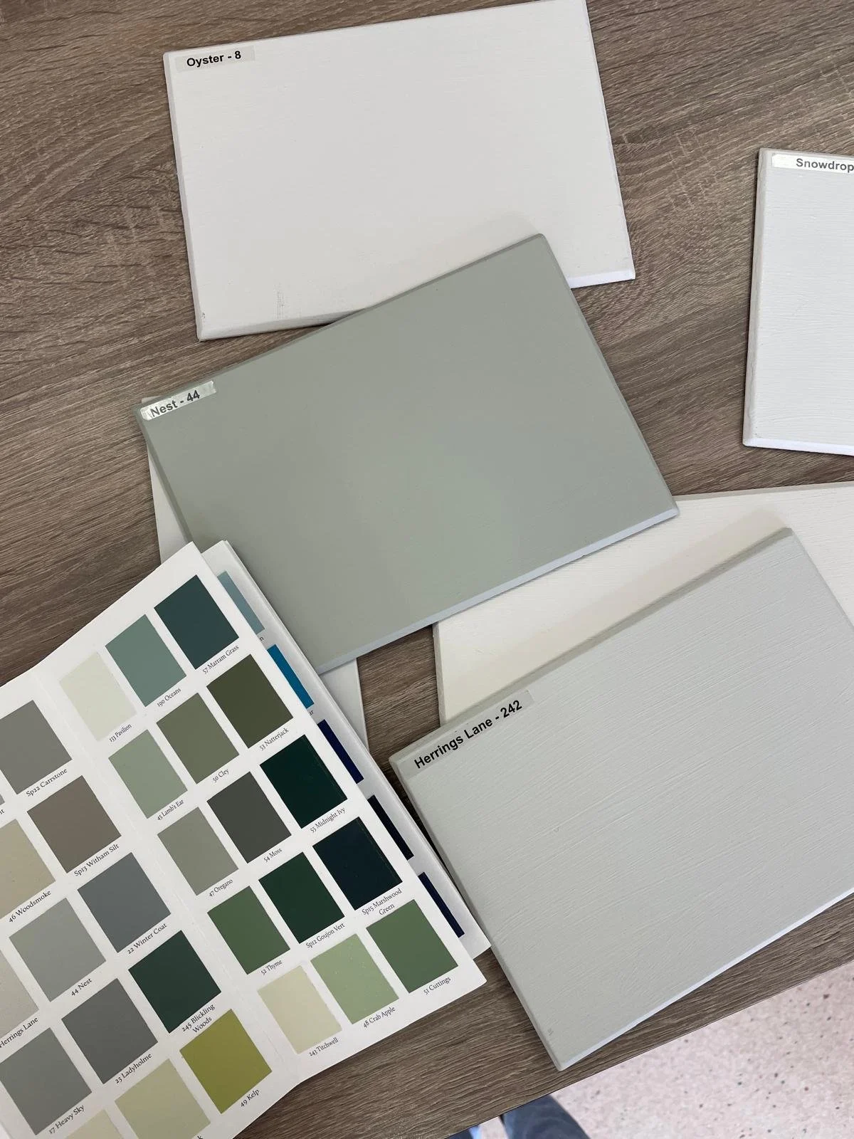 Colour Consultation - Online (One Hour)