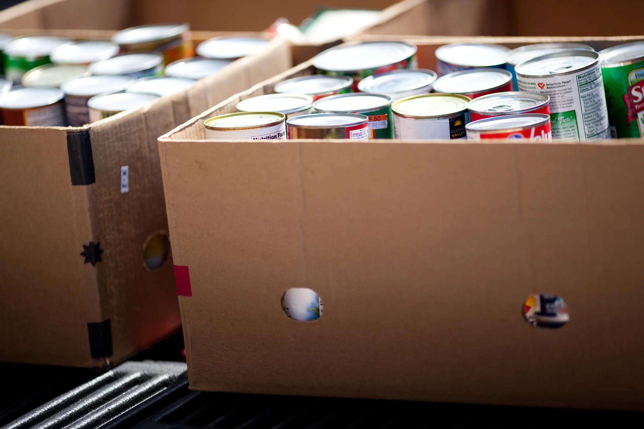 Dansville Ecumenical Community Food Pantry