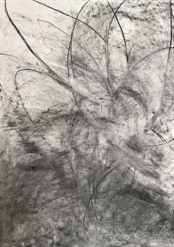  Gyre, Charcoal on paper, 50 x 70 cm, 2021 