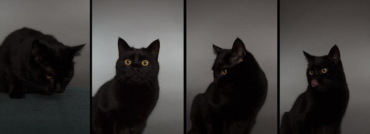 The four frames Nishi allowed me to take.