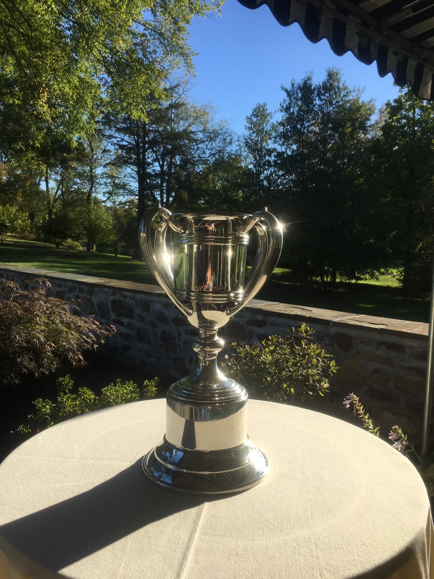 Society Cup.JPG