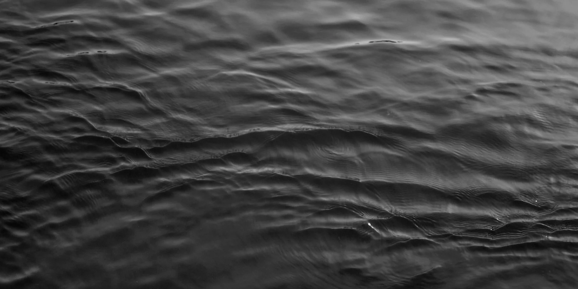 websitebanner.jpg