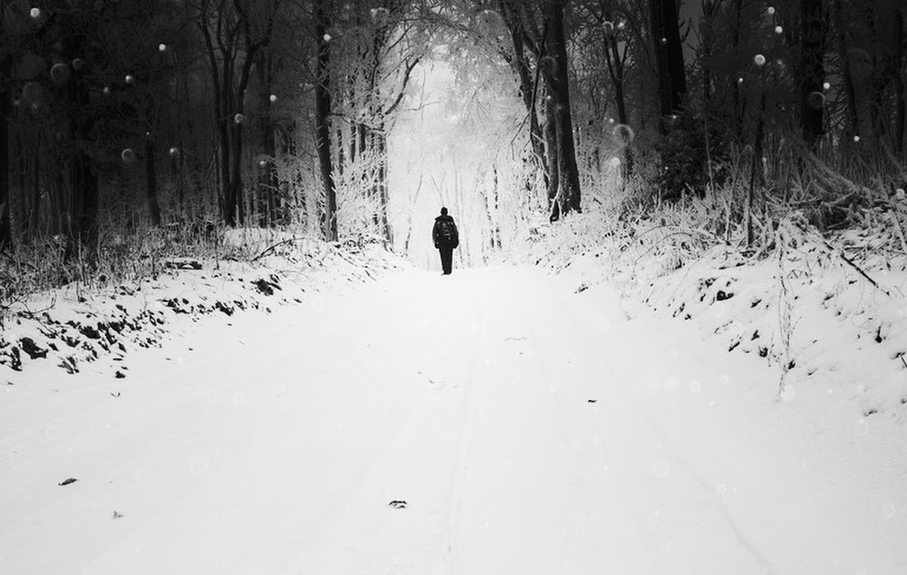 Stockholm in the snow