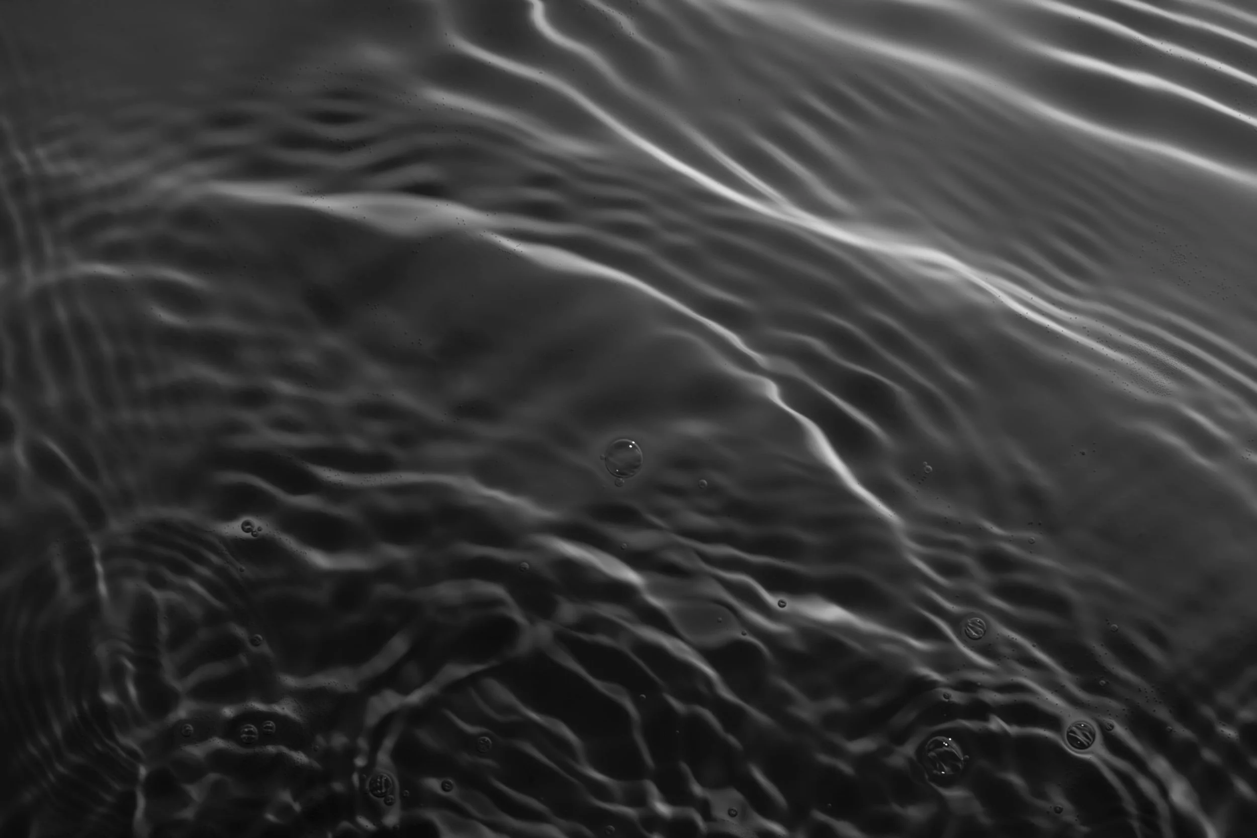 shutterstock_1685553571_703858816252.jpeg