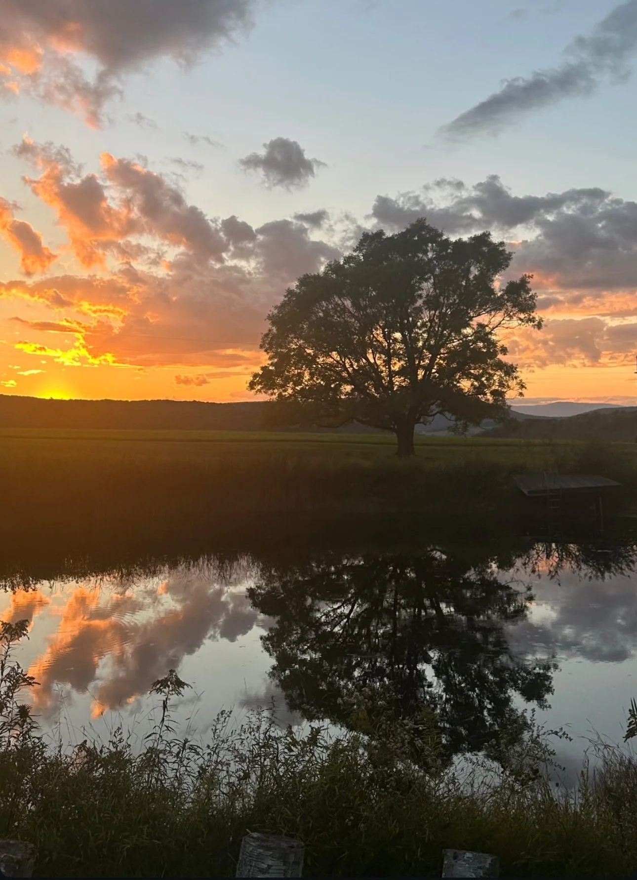 July Group Meditation 
