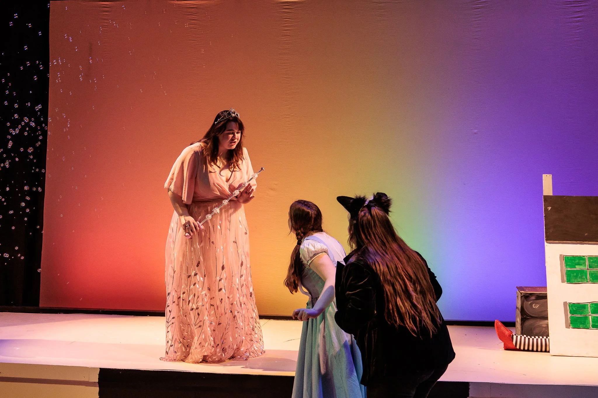 THE THEATER PROJECT