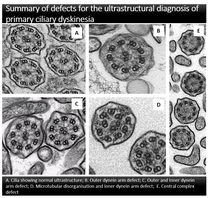 panel for resources page.png