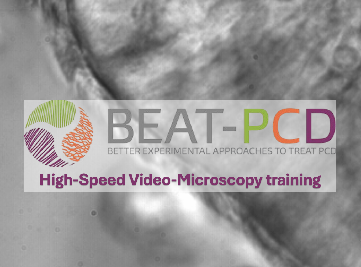 Overlay of text on a grayscale microscopy image promoting BEAT-PCD high-speed video-microscopy training.