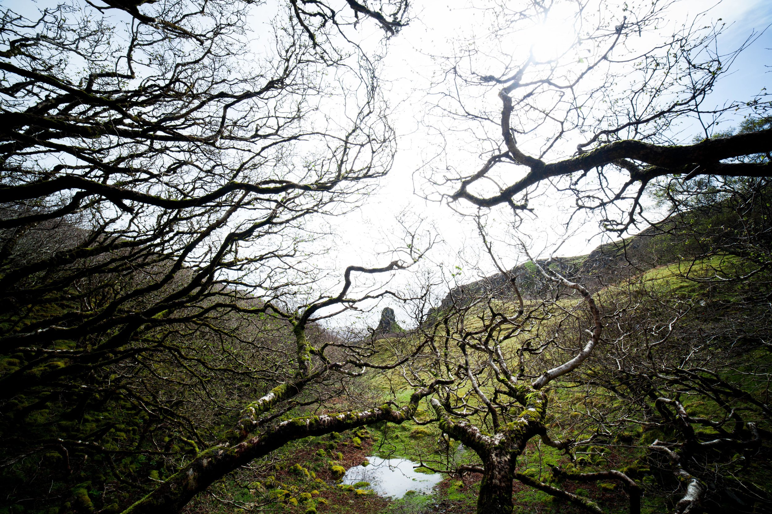 isle_of_skye_photo_tour_0005-min.jpg