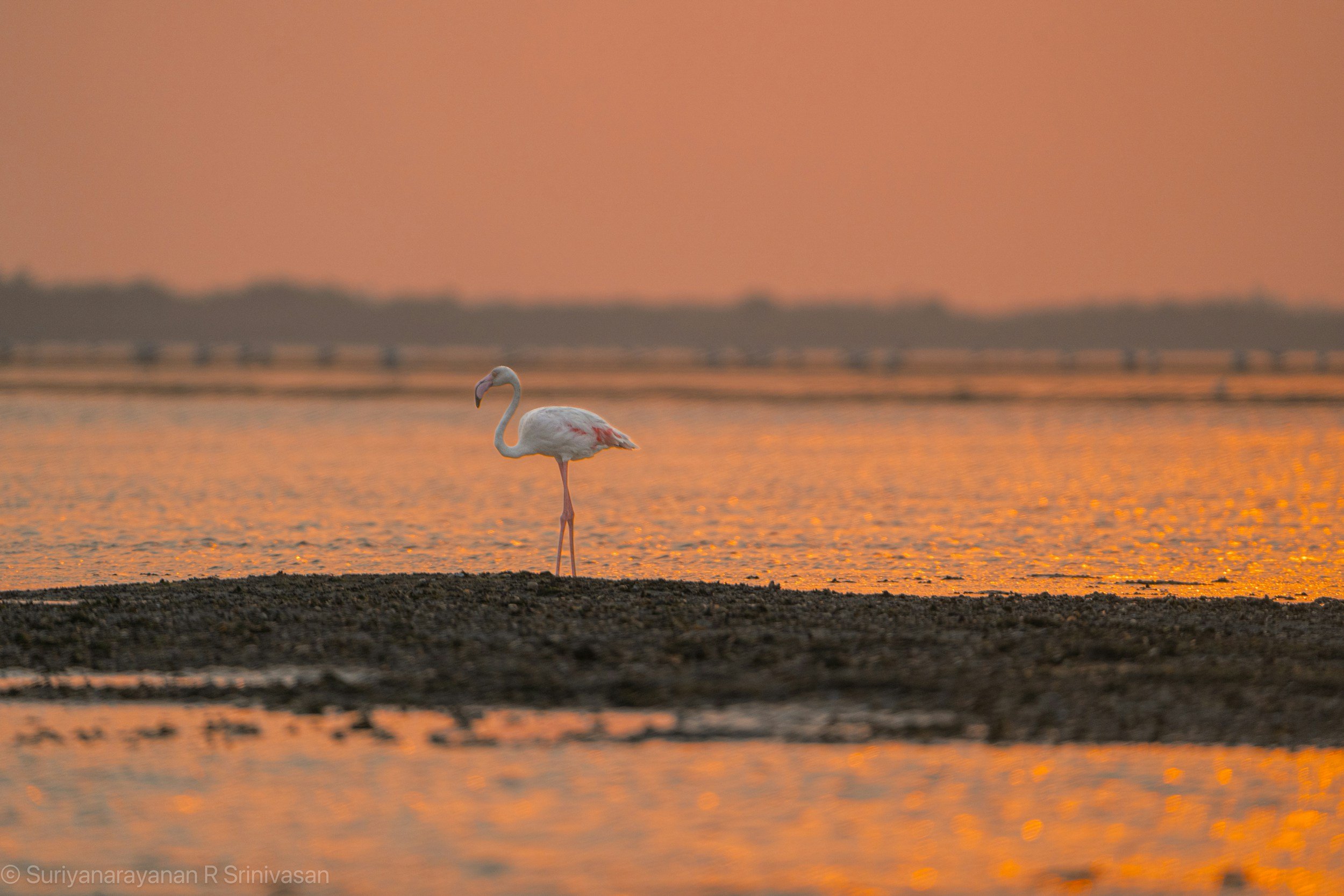 Work Harder. You’ve Earned It.