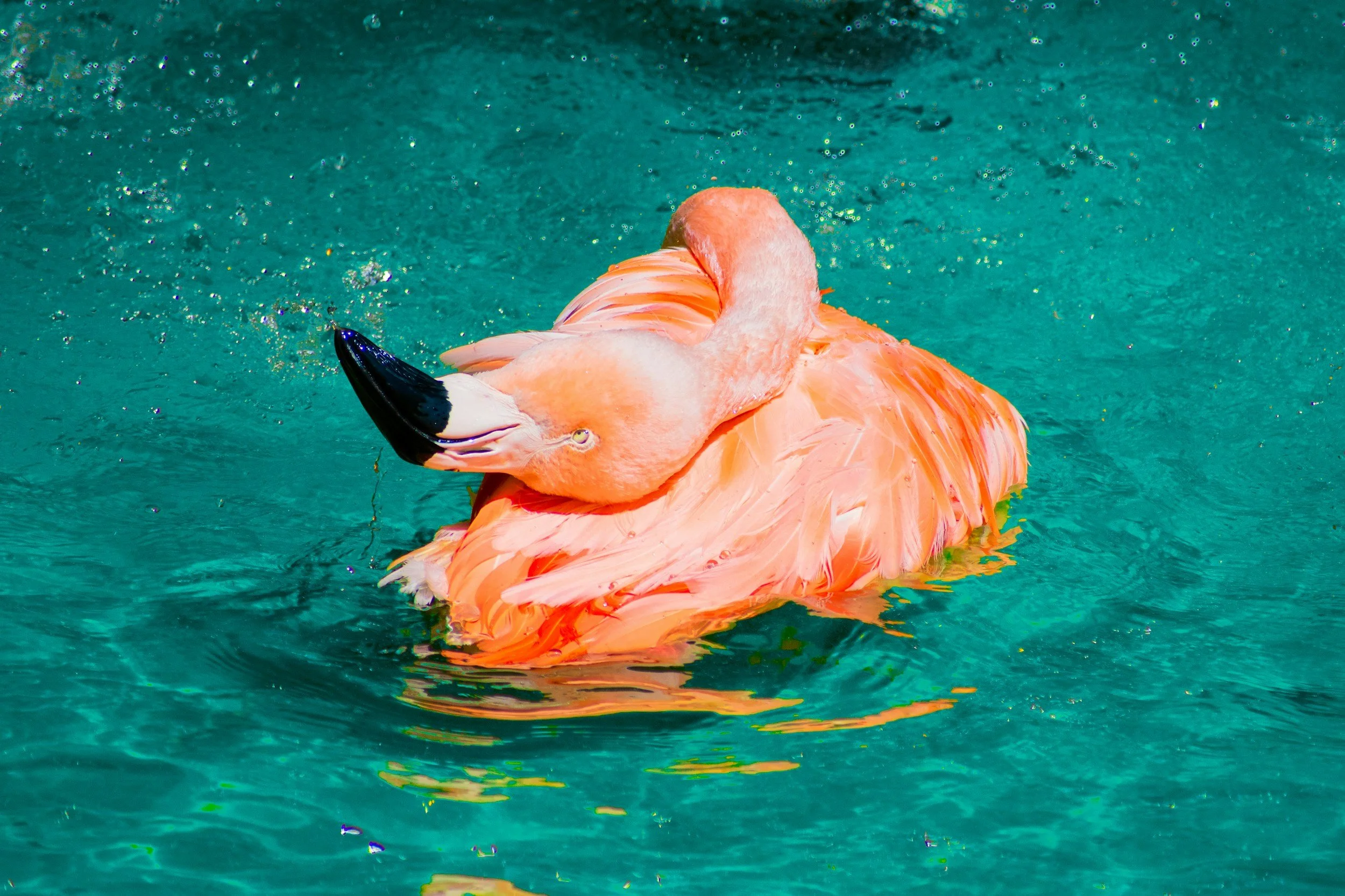 A New Website Won’t Fix the Wrong Problem