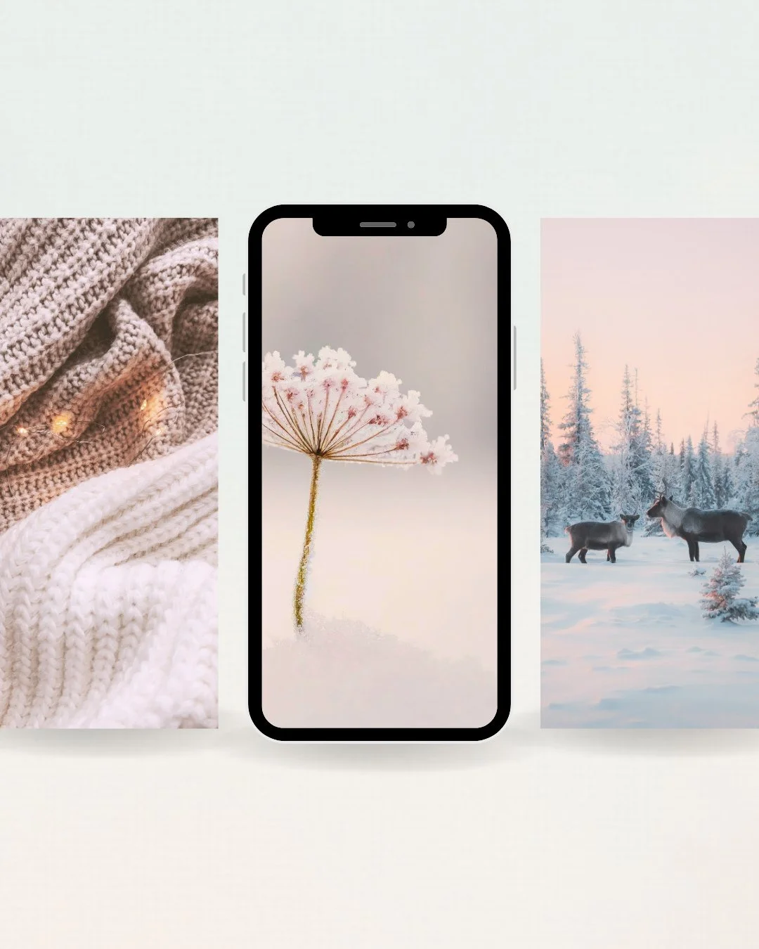 Hazy Shades of Winter...⁠
⁠
Here in Maine, I'm inspired by the soft pink &amp; blue hues of Winter at dawn, comfy cable knit sweaters with twinkle lights, and hints Spring waiting patiently under the snow. ⁠
⁠