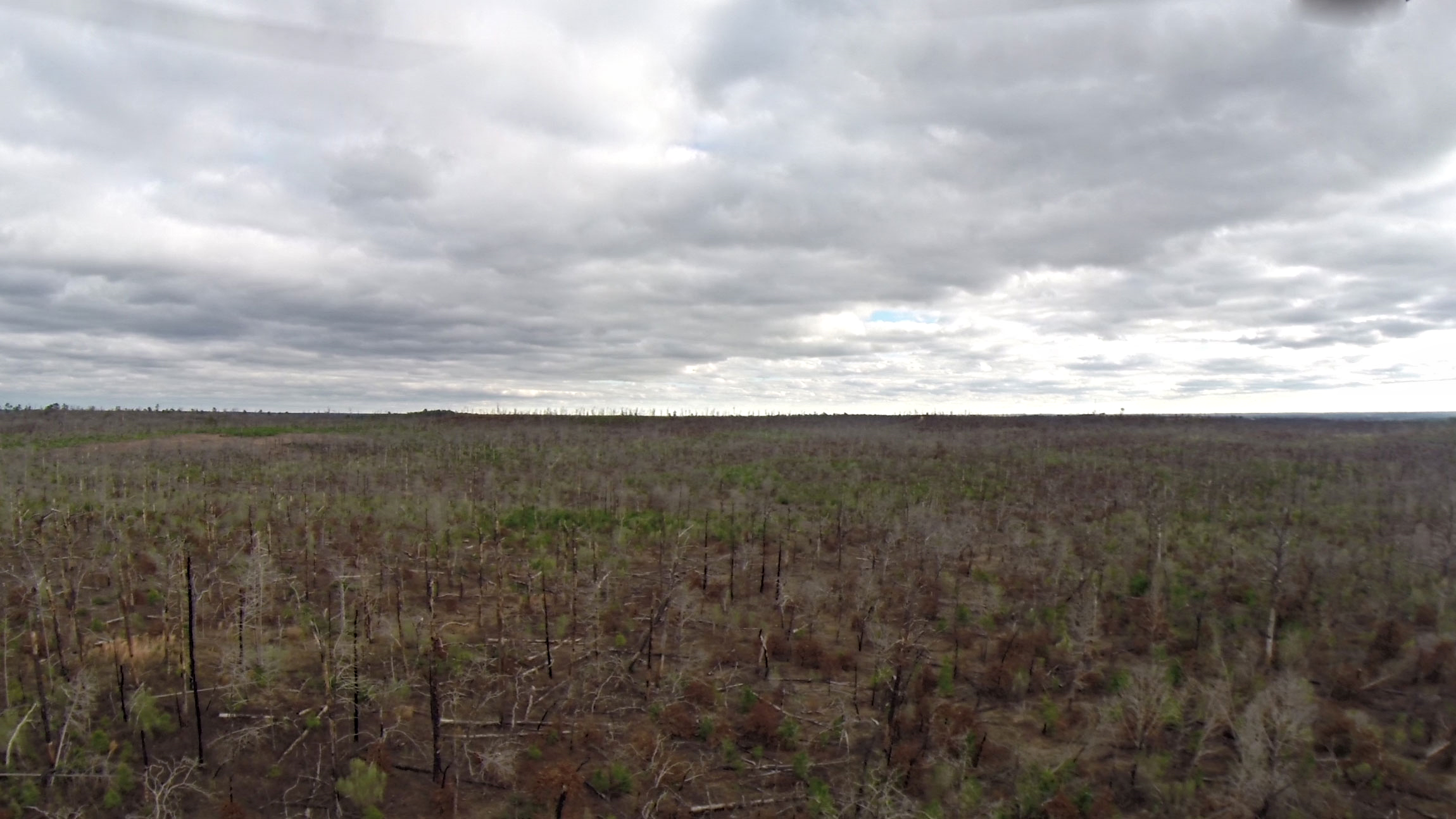 The scale of this disaster seen from an aerial perspective. Scorched trees still line the road in some parts. The same scene continues for miles when you peak into what used to be the dense forrest. 