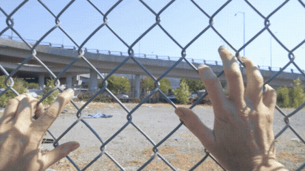 Adobe Express - Catalyst (1).gif