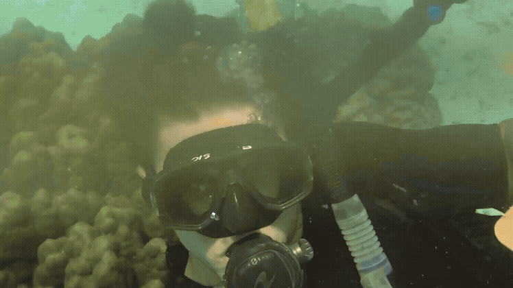 Adobe Express - Malibu.gif