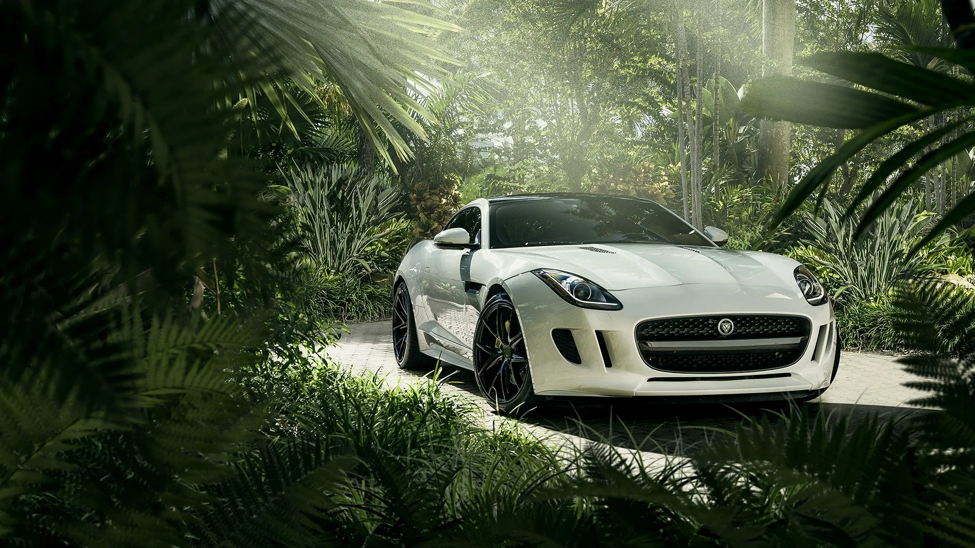 Jaguar Shoot