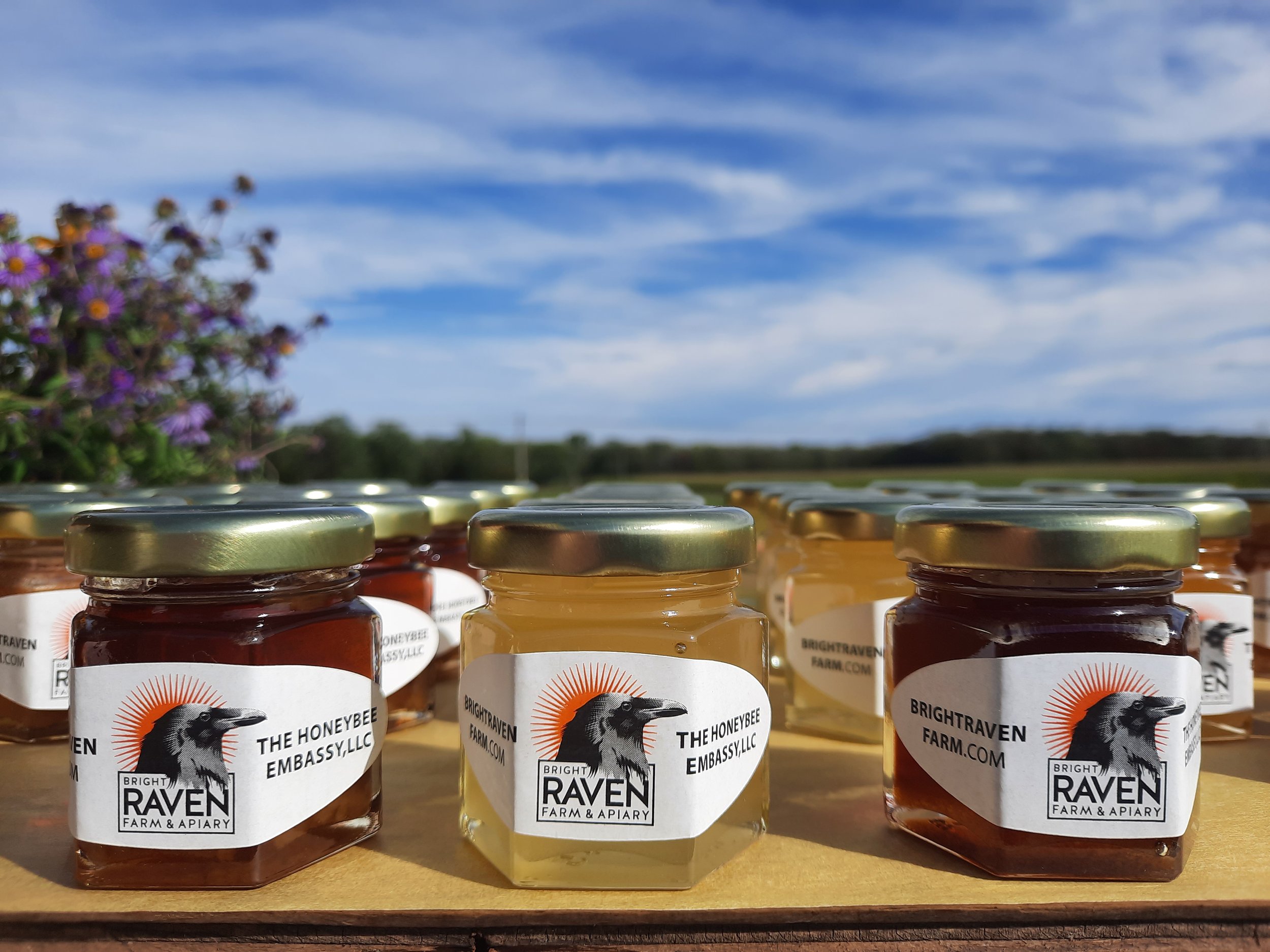 Mini raw honey gift set