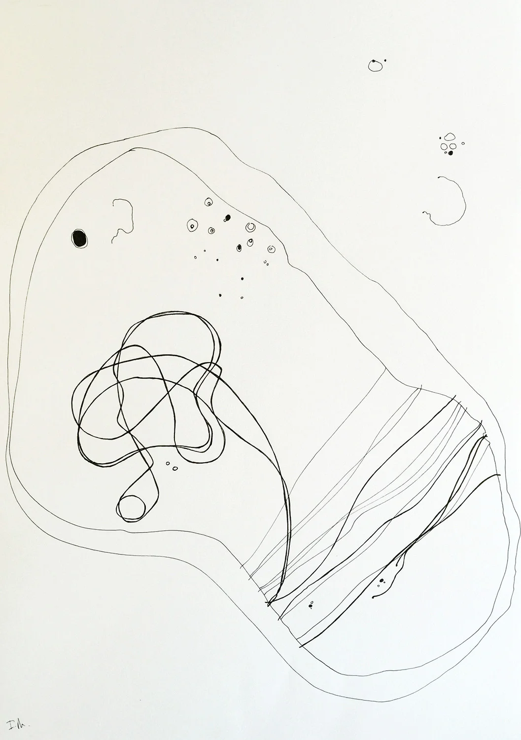 IMG_2915thumbnail.jpg
