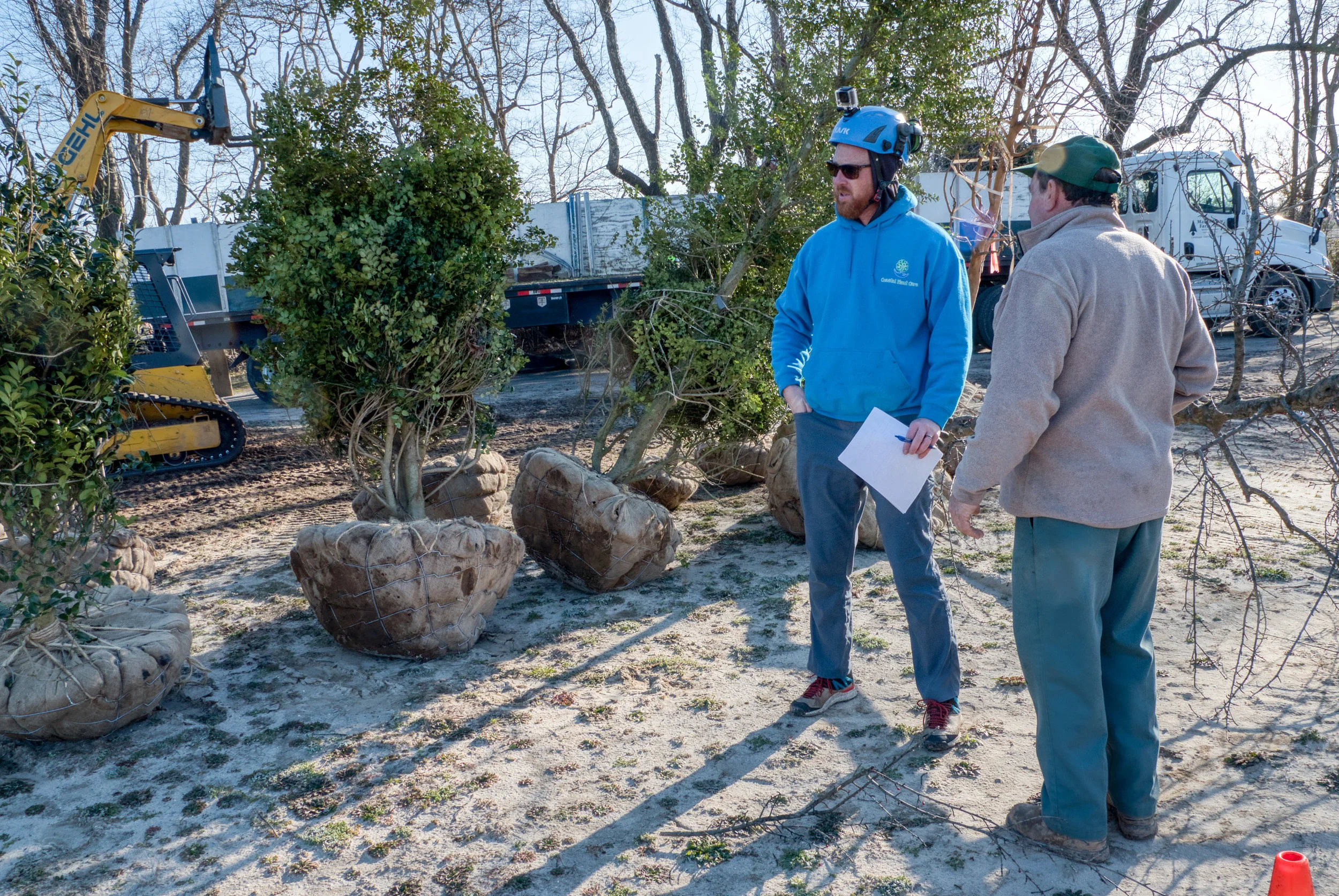 Jeremy Hager, ISA board-certified Master Arborist, and Randy Childress of Delta Nursery discuss holly tree placement at DBG