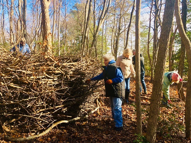 rebuild nest sculpture.jpg