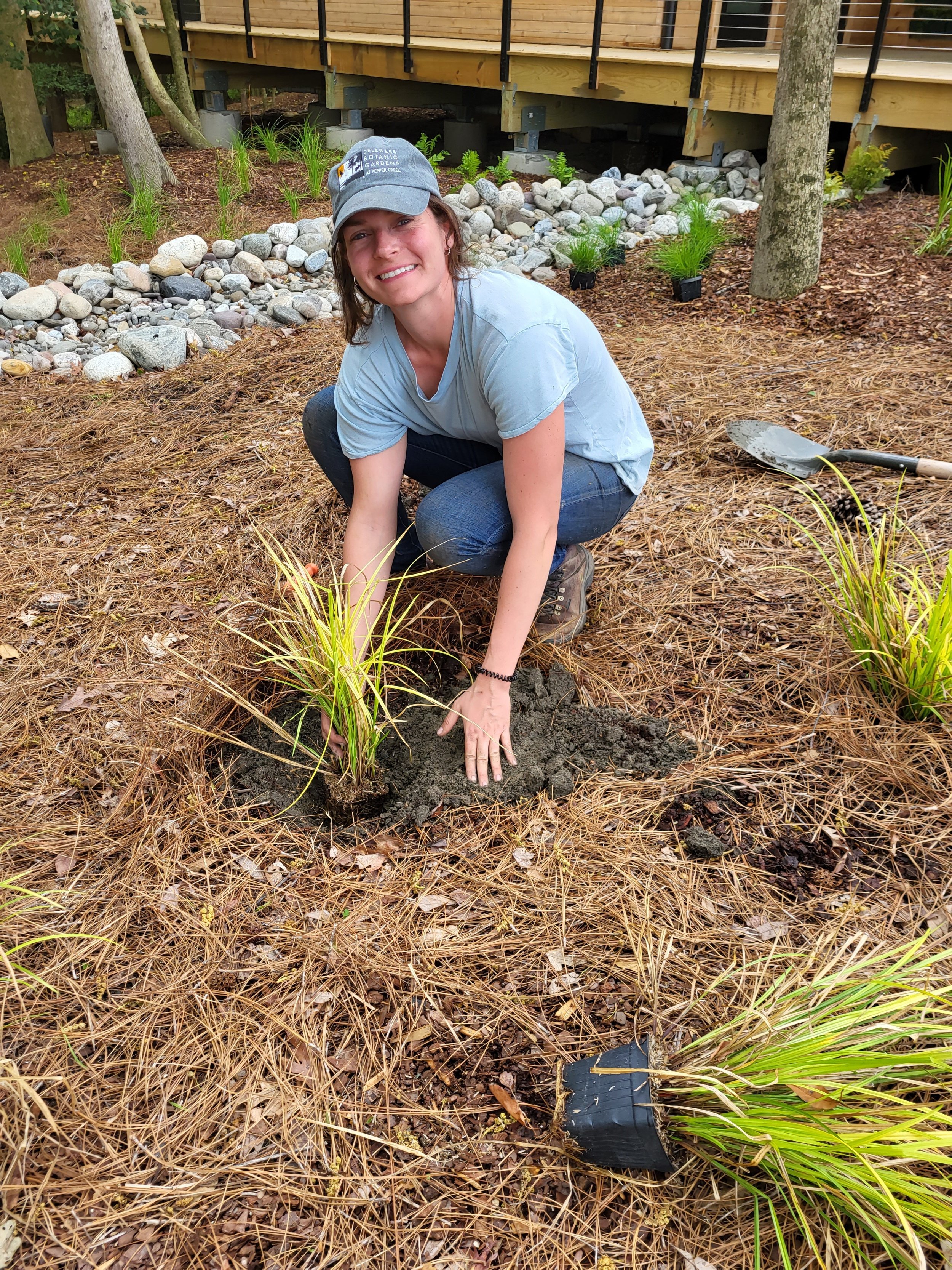 Bridget Curran, Horticulturalist