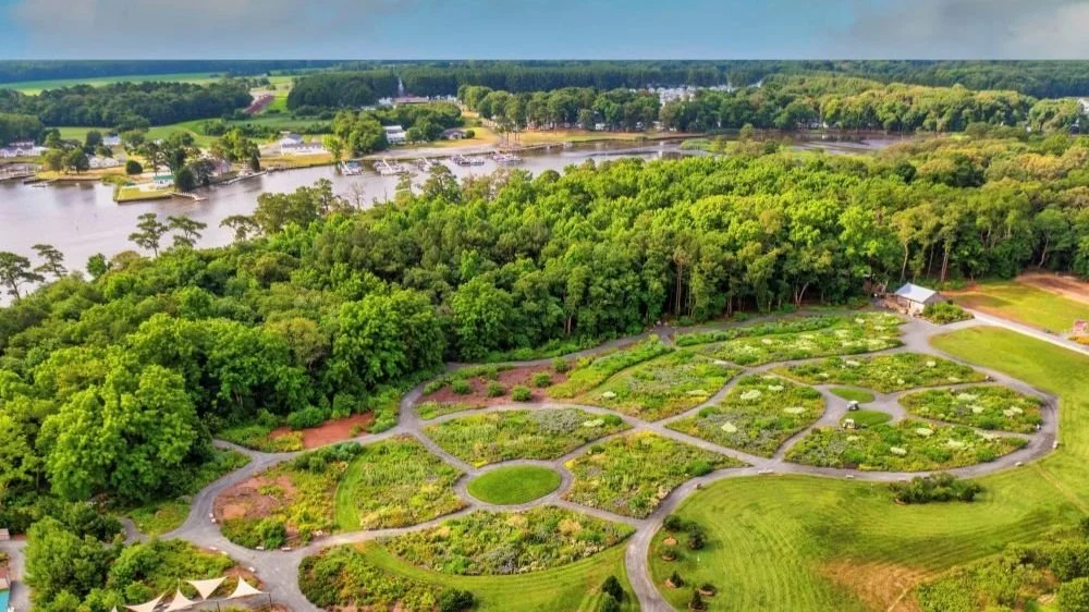 Drone picture.jpg