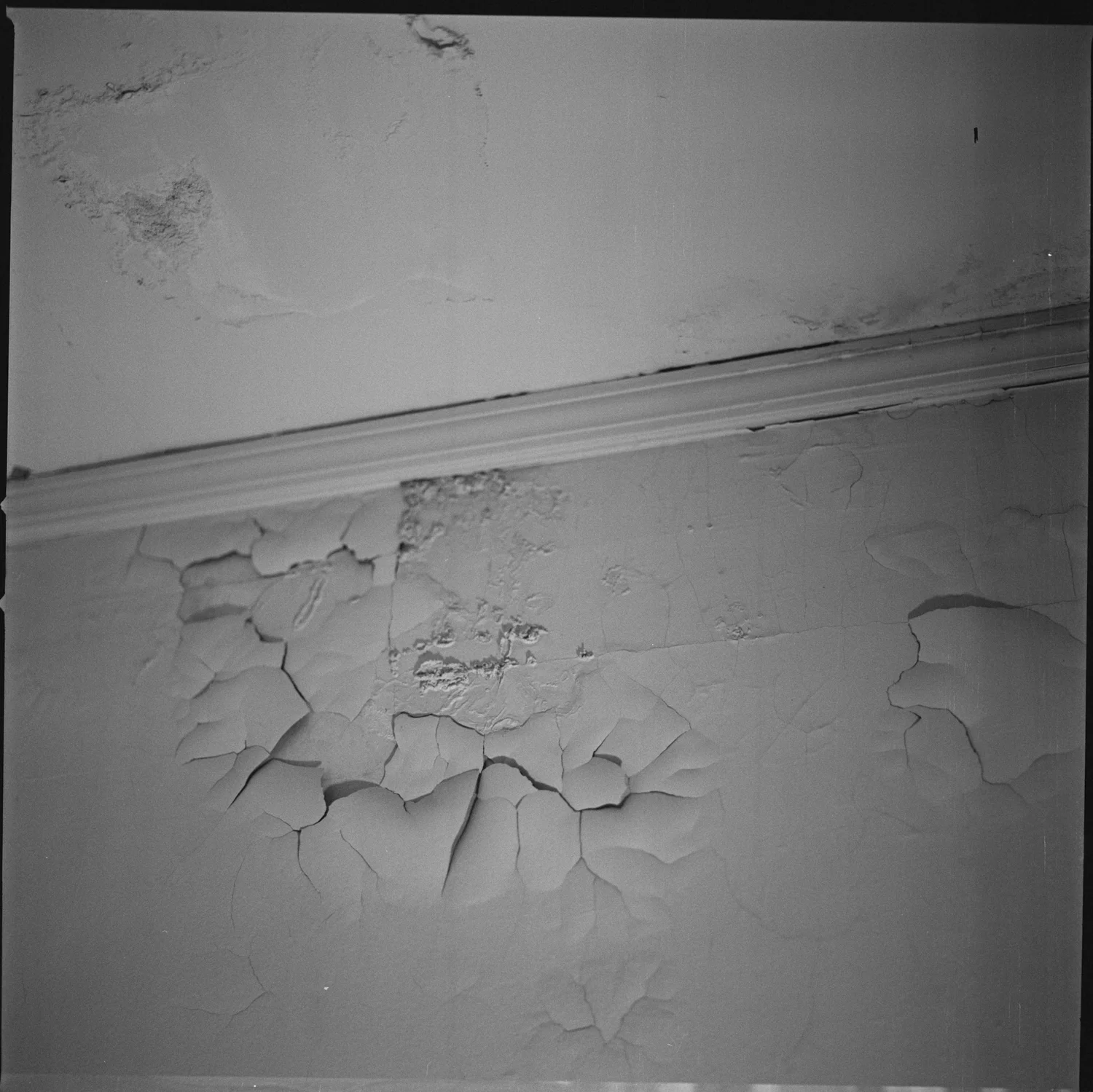 CIELING _120mm_HASSELBLAD 500_KODAK TX400.JPG