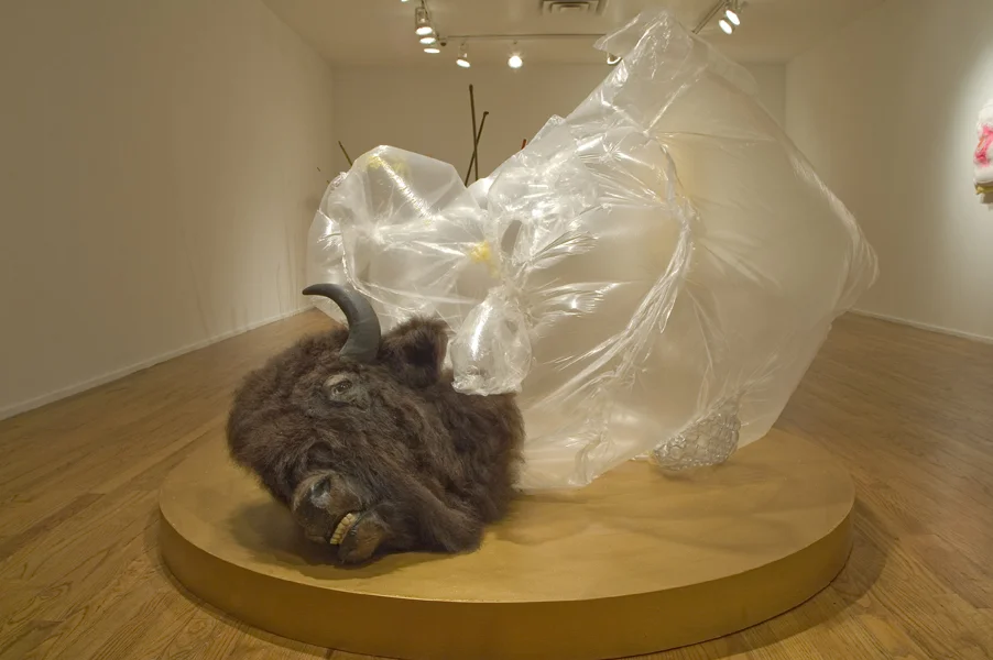 Seigel The Last Buffalo 5 web.jpg