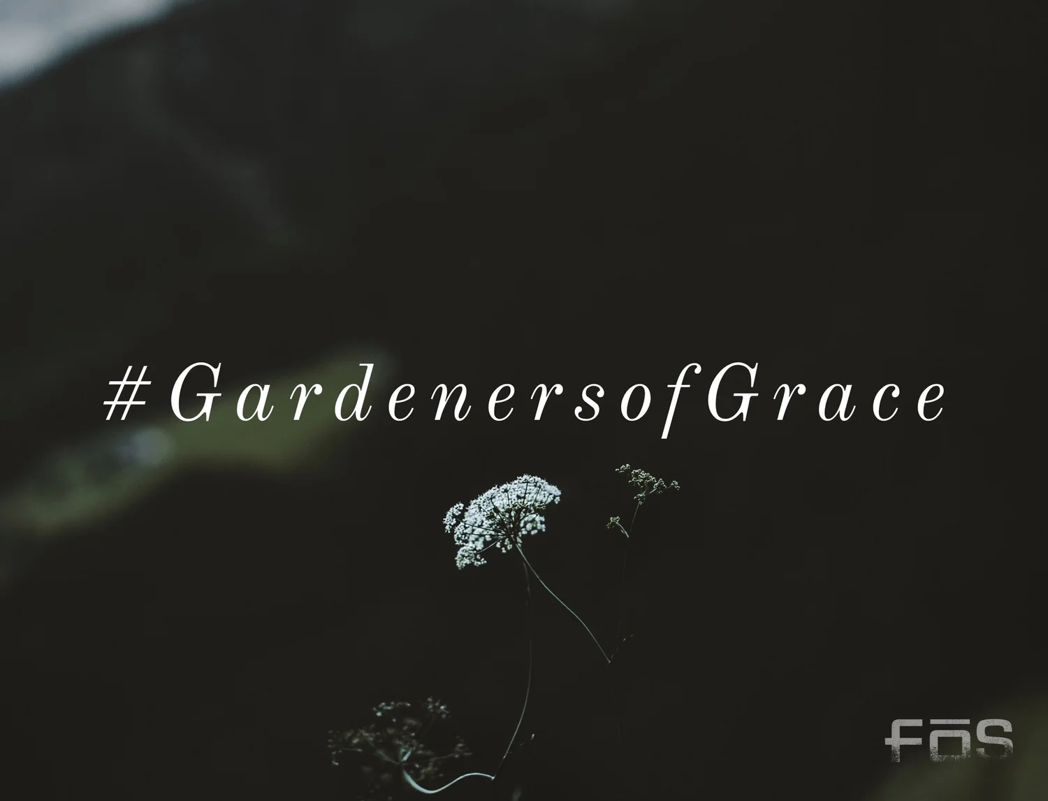 We Actively Participate in Community | Gardeners of Grace pt. 2 episode artwork
