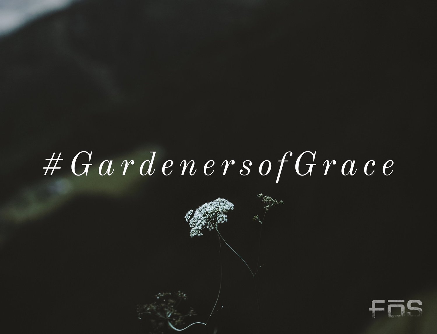 We Trust the Process | Gardeners of Grace pt. 3 episode artwork
