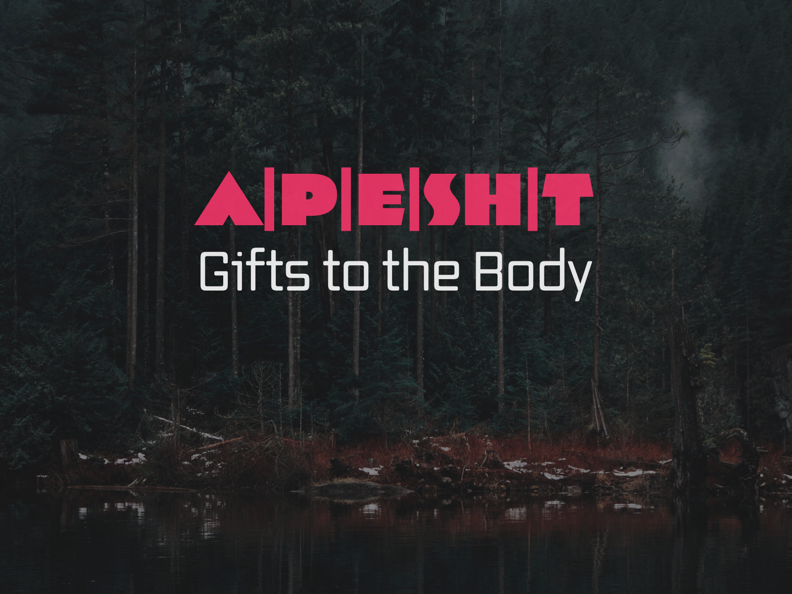 Apostles—Continuing the Conversation | A|P|E|S|T pt. 2