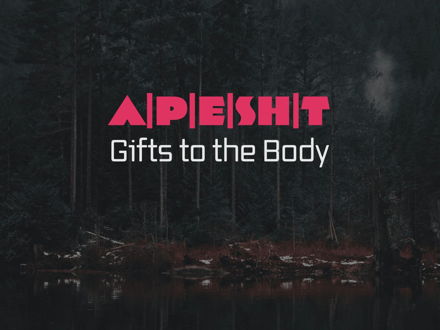 Apostles—Continuing the Conversation | A|P|E|S|T pt. 2 episode artwork