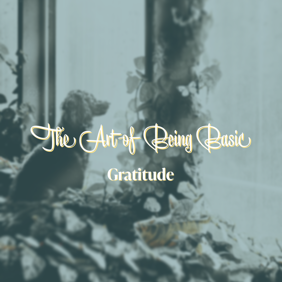 Gratitude | The Art of Being Basic pt. 3