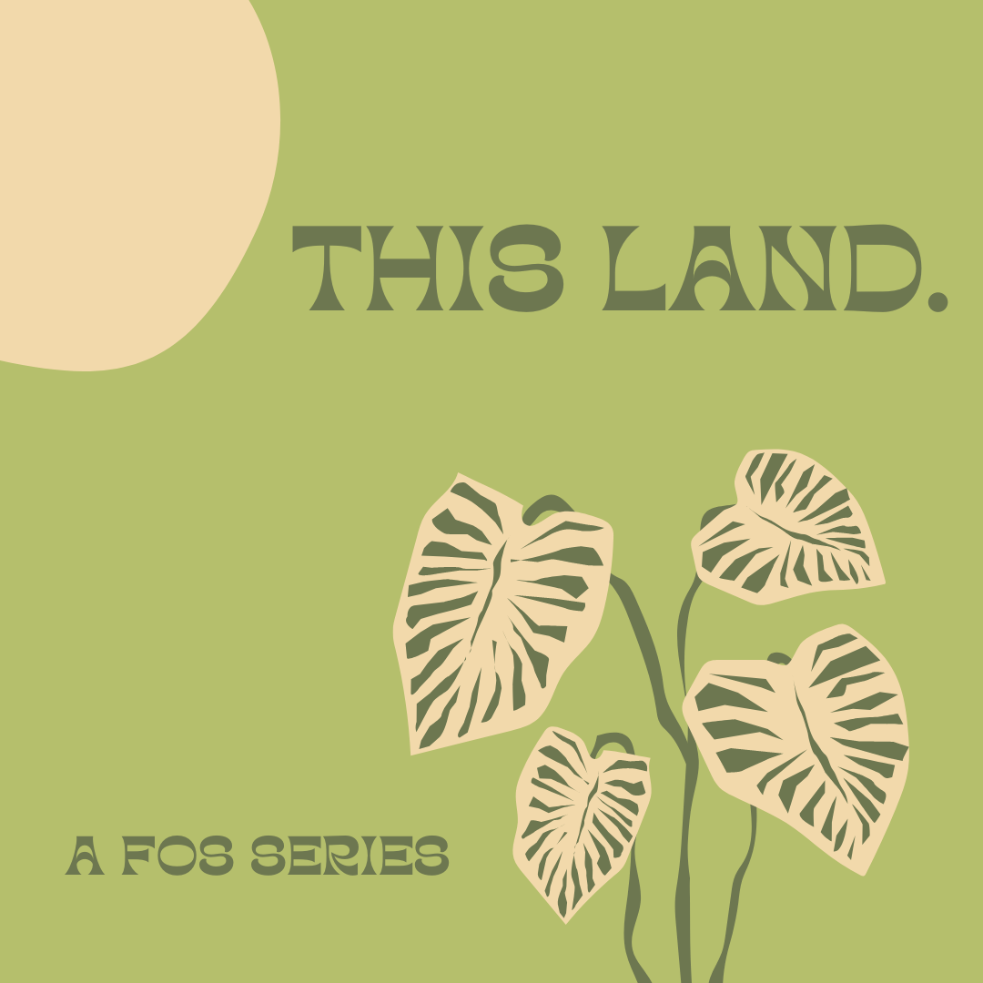 Continuing the Conversation | This Land Series Recap