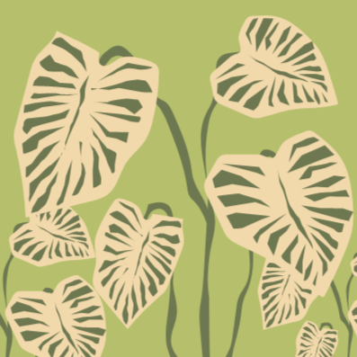 Reimagining the Story of Jesus | Creation