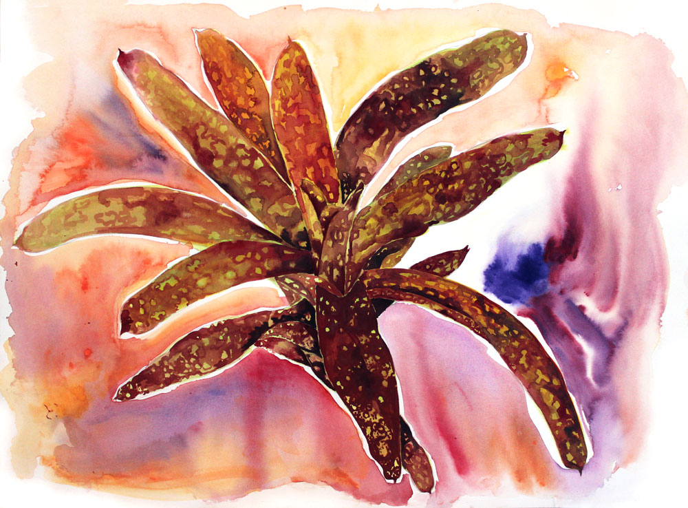 BromWatercolor.jpg