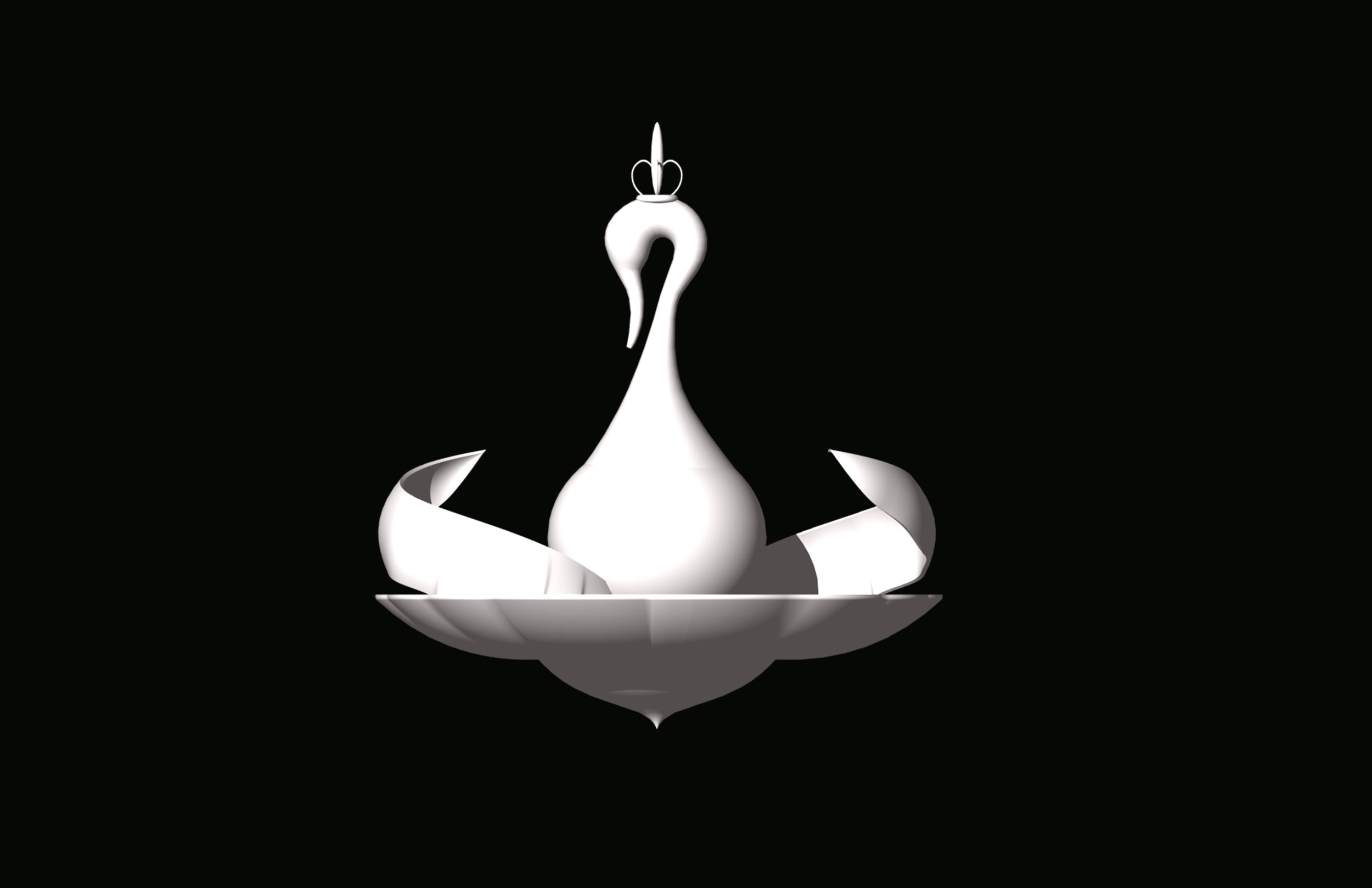 spinningtop_swan_front2.jpg
