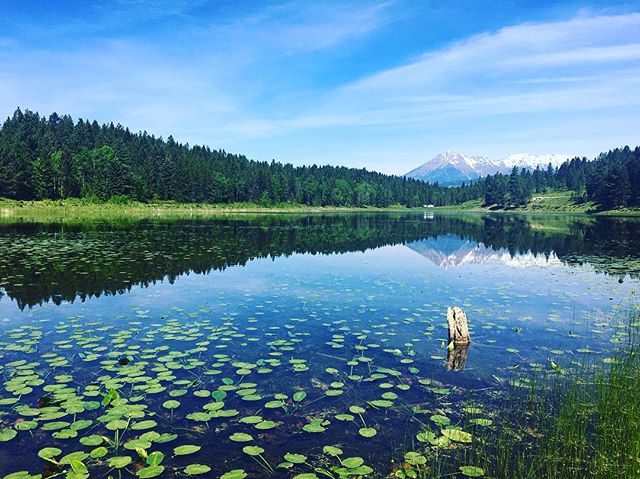 I guess I could get used to this... I ❤️ BC! 
#mountainside #homeiswherethemountainsare #explorebc #lilypad #paintedturtles #i❤️bc #getoutside #adventuretime #thisisliving #mountainair #stephaniemooretravels #familytime