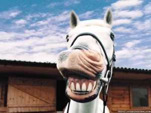 Hehehe, funny, isn't it?