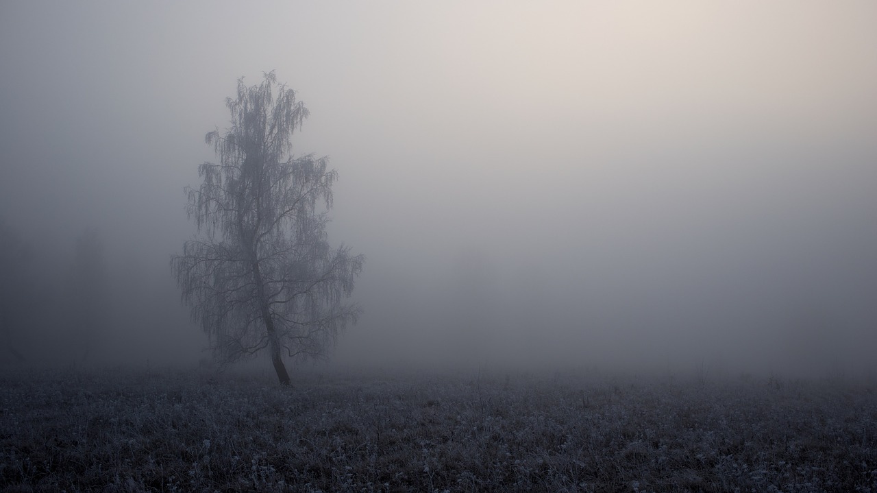 You know, just with a lot more trees in the distance, beyond the fog...