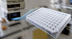 96_well_Assay_conical.jpg
