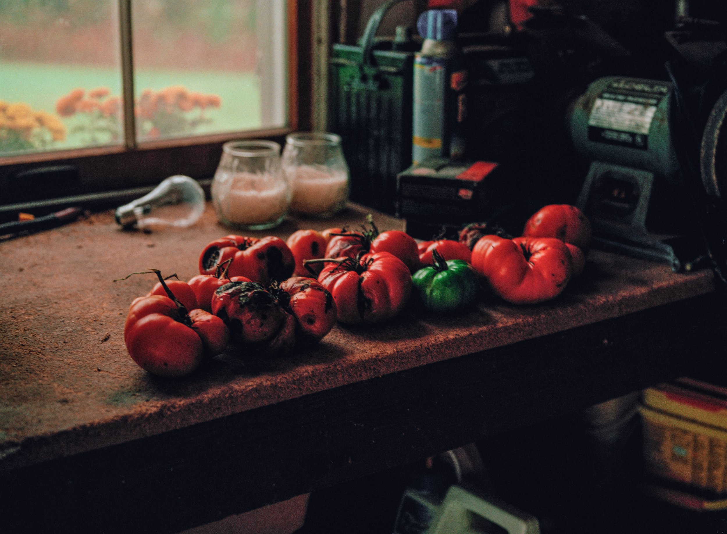 Dad's Recent Crop (2012)