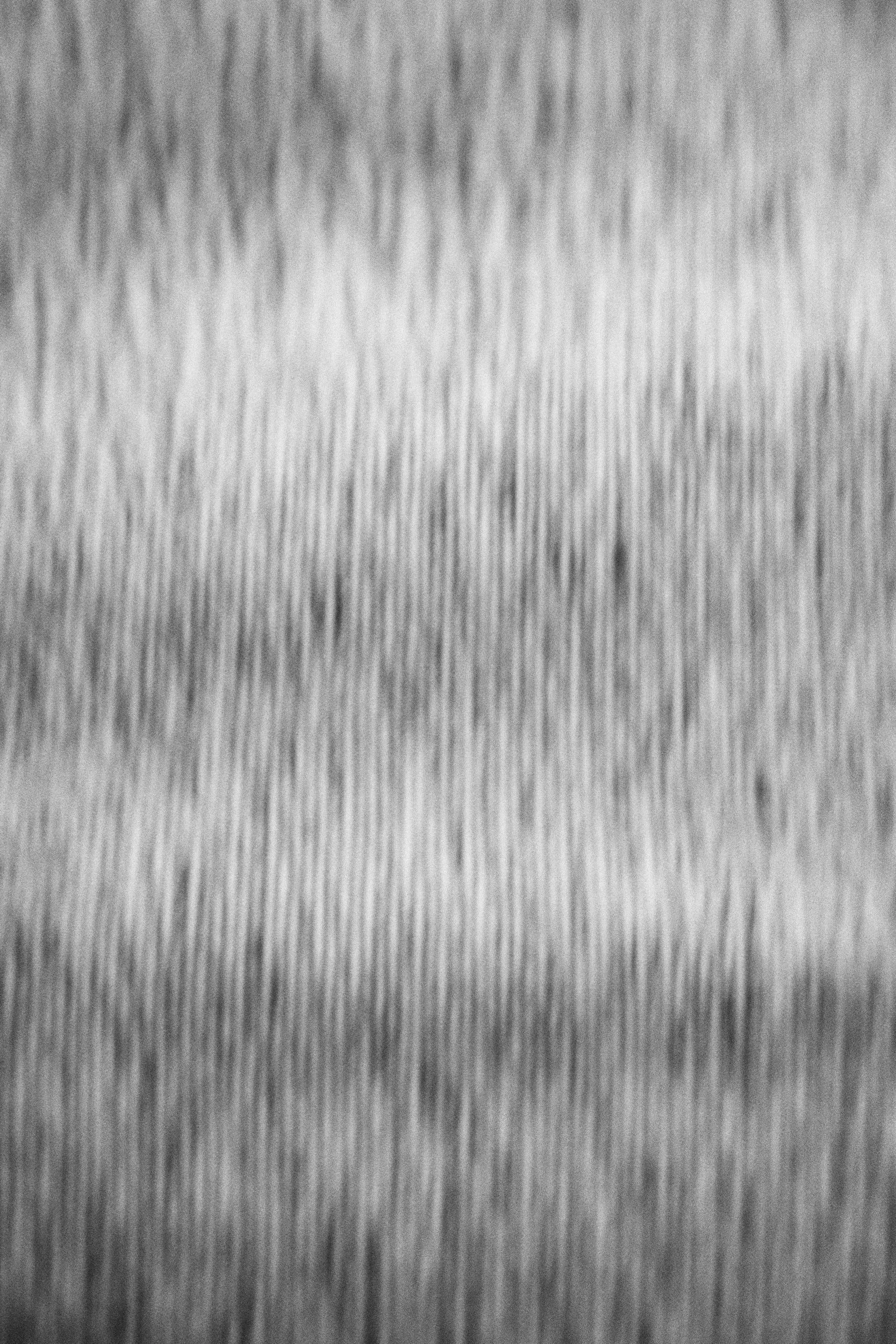 Untitled, 2025