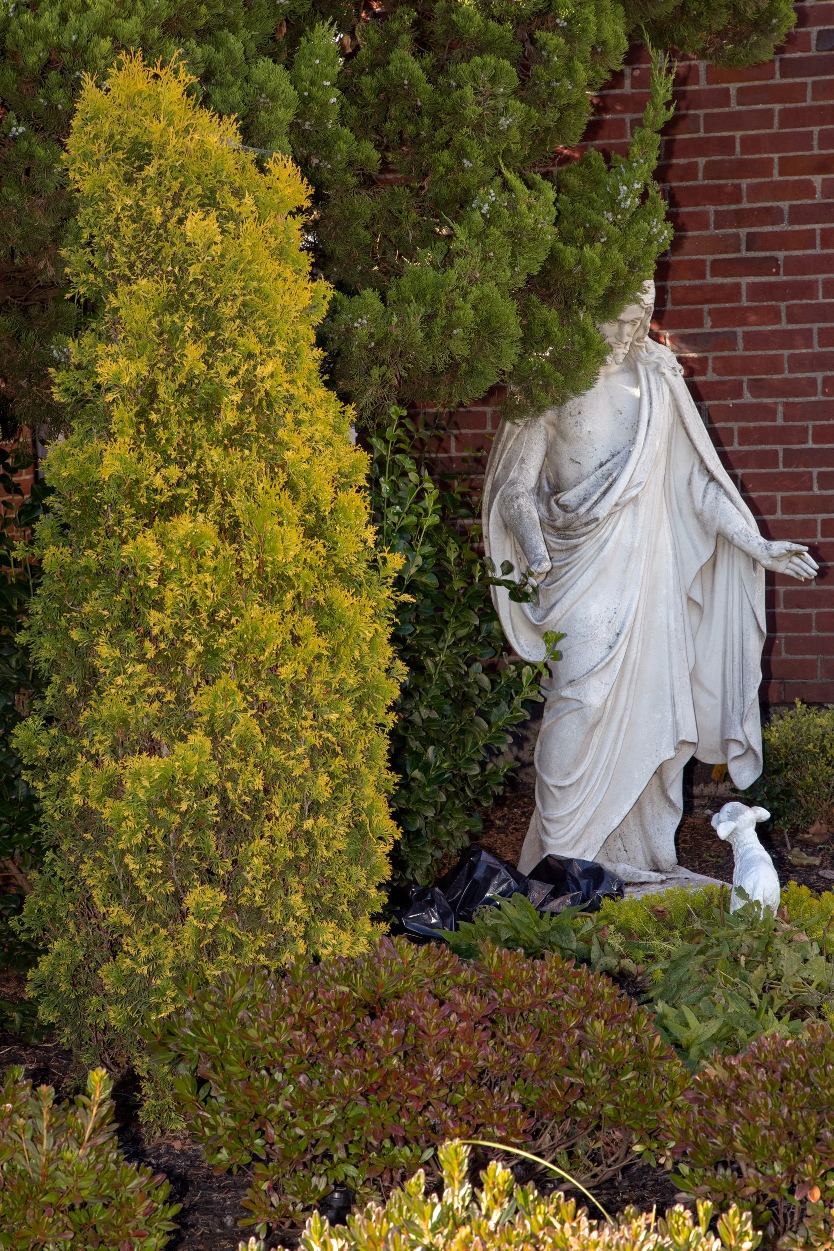 Good Shepherd, 2025