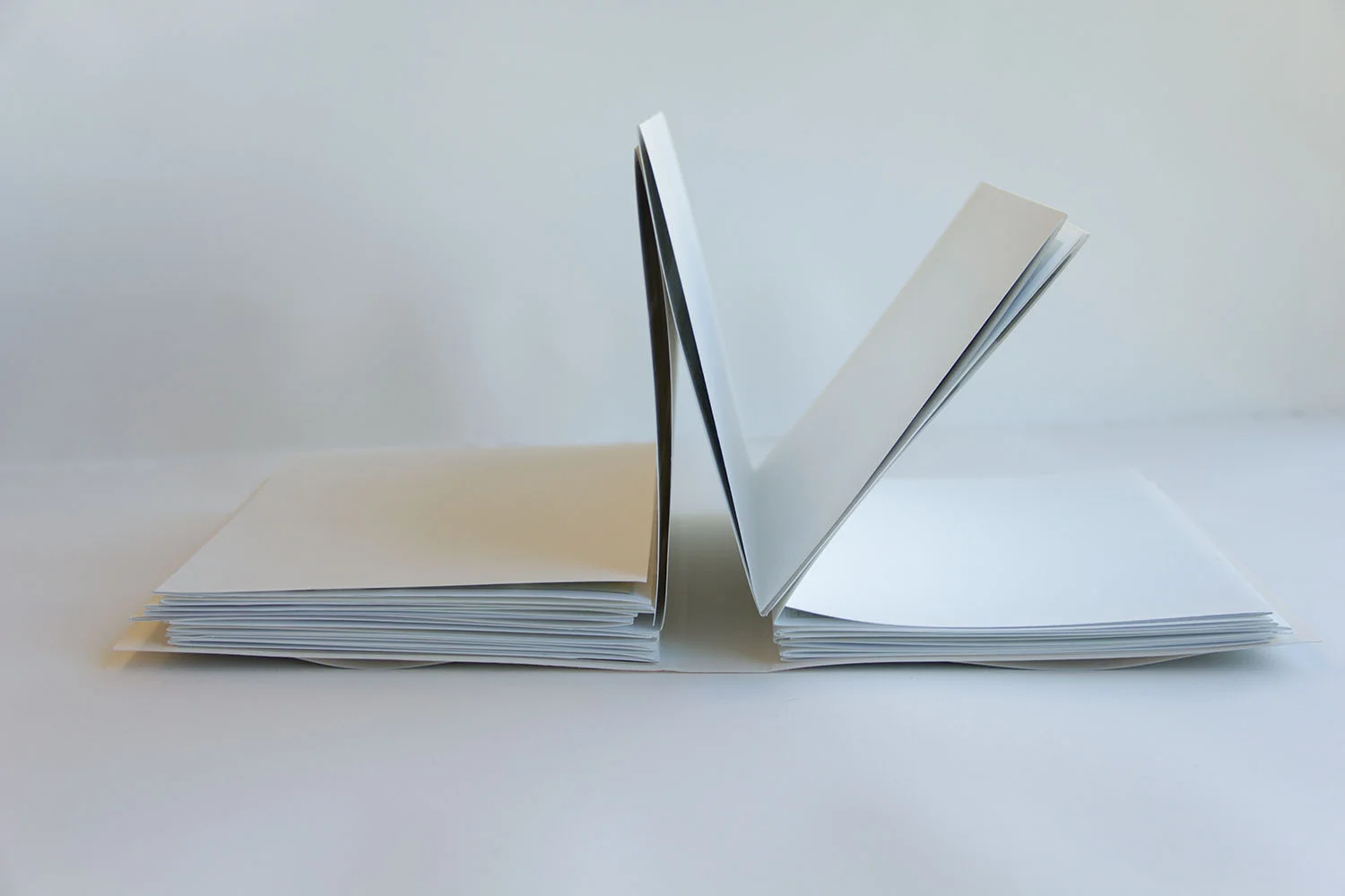 Dahlmer_Photobooks2.jpg