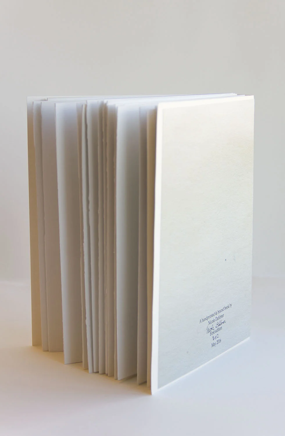 Dahlmer_Photobooks3.jpg