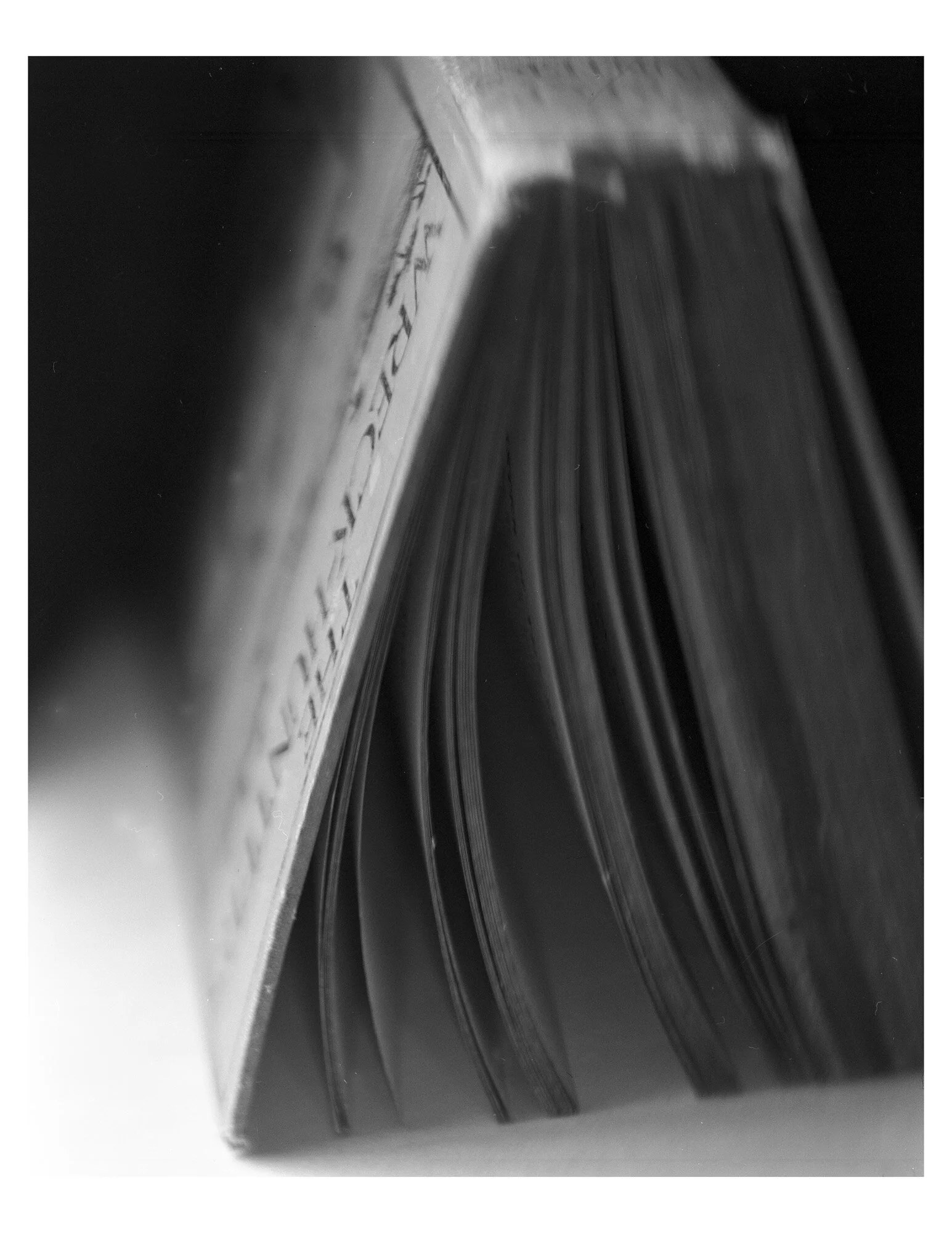 DahlmerPrint4_LARGEFORMAT.jpg